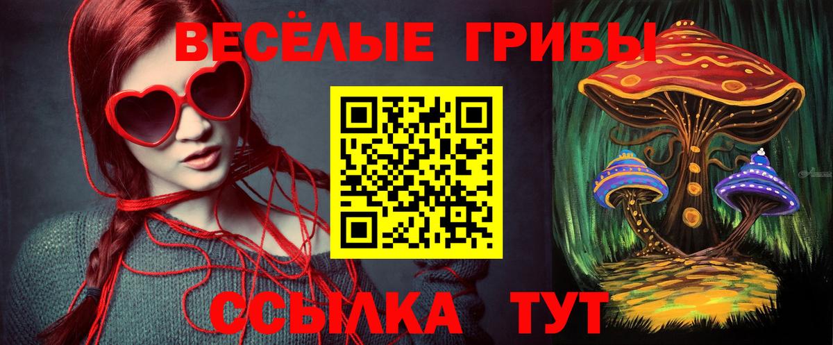 цена   Галлюциногенные грибы Psilocybe  Вход с VPN  Сухой Лог 