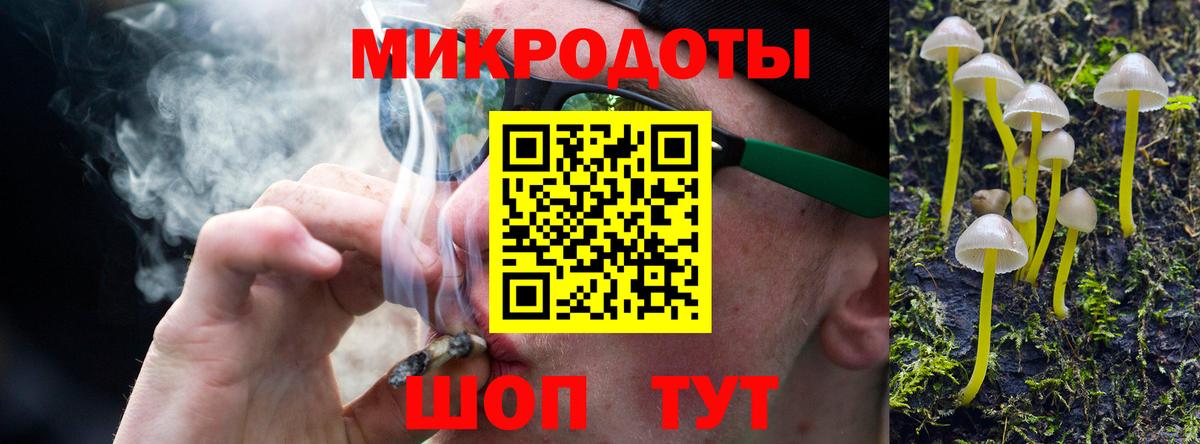 Псилоцибиновые грибы Psilocybe Сухой Лог